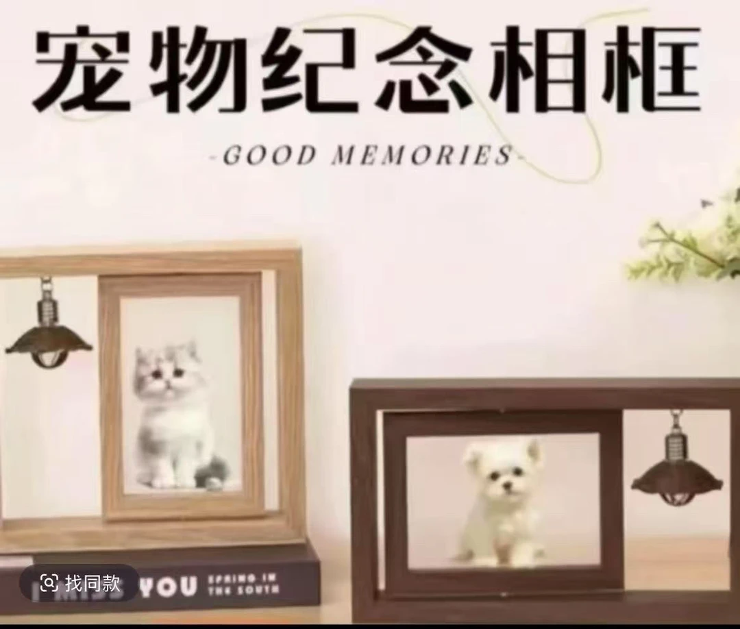 定制照片宠物纪念相框摆台可收藏猫狗毛发爪印纪念品