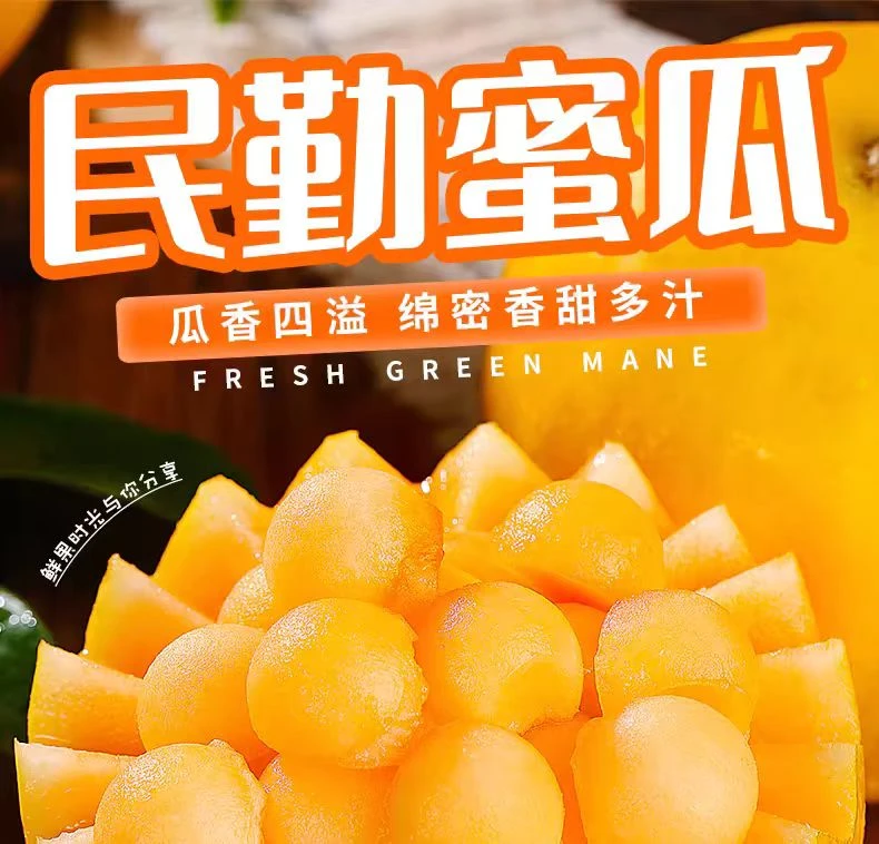 甘肃民勤蜜瓜新鲜产地直发香甜爽口多汁坏果包赔新鲜水果好吃
