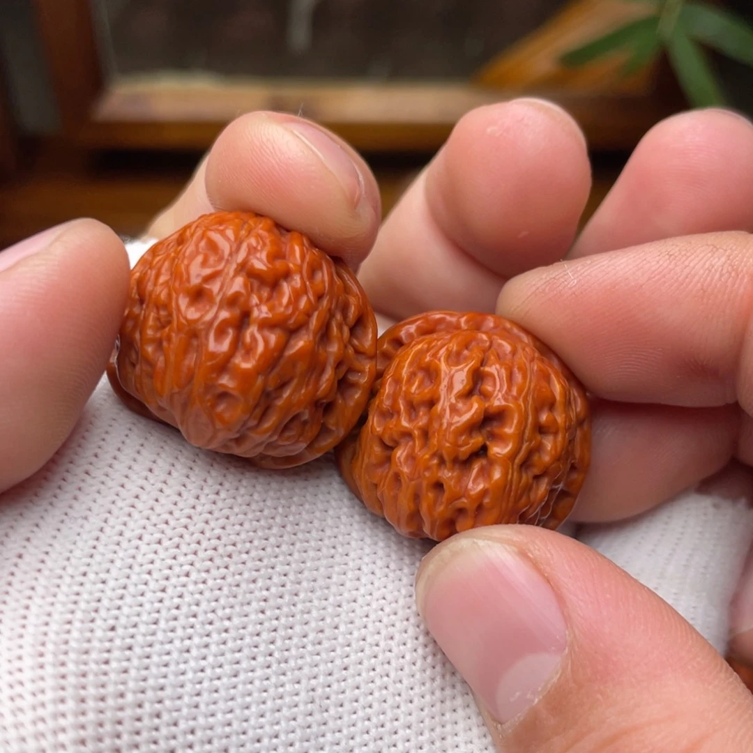 文玩核桃把件白狮子27