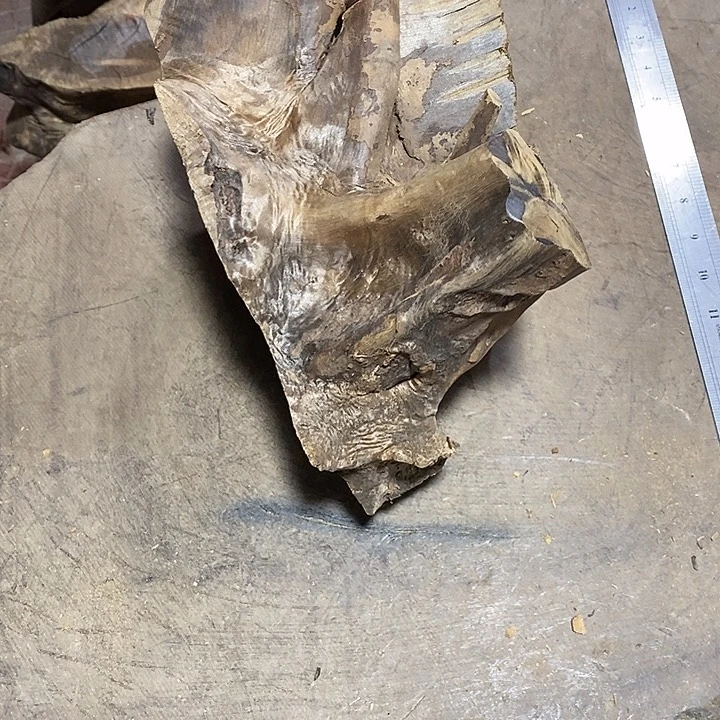 乌木类金丝楠木小叶