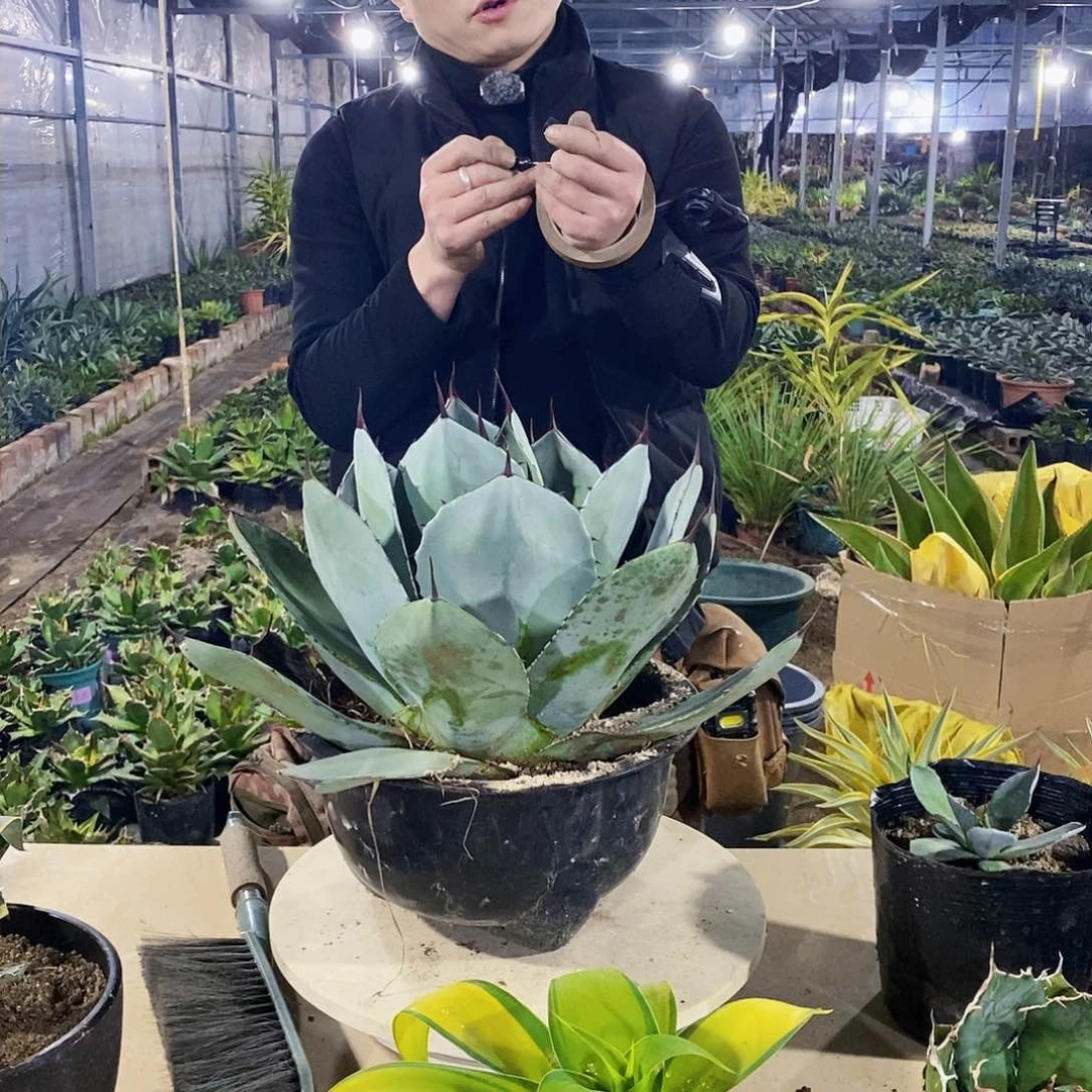 追****唐福克斯一颗1111111