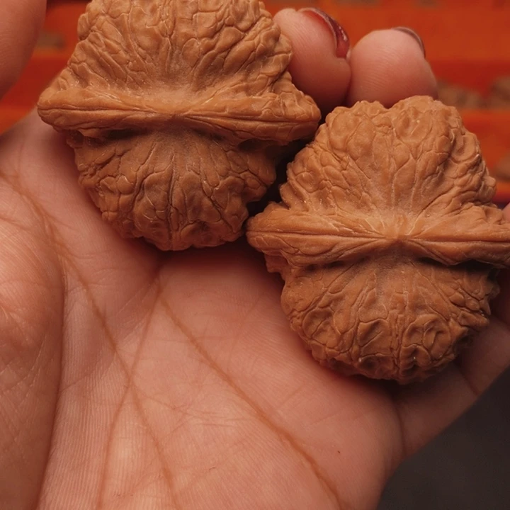 小***熊核桃血麒麟41尺核桃