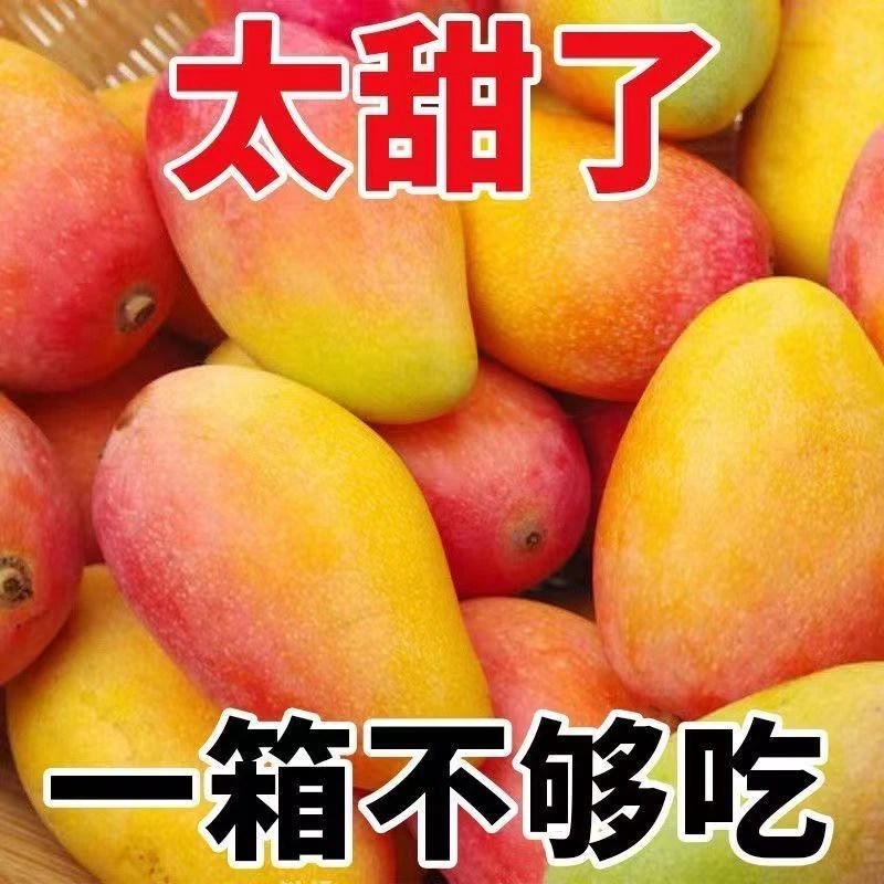 【助农补贴】正宗贵妃芒香甜多汁当季新鲜水果带箱5斤