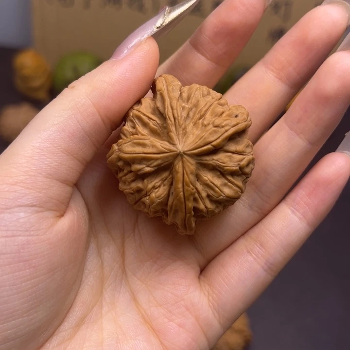 星***享菩提籽类四棱有瑕单只