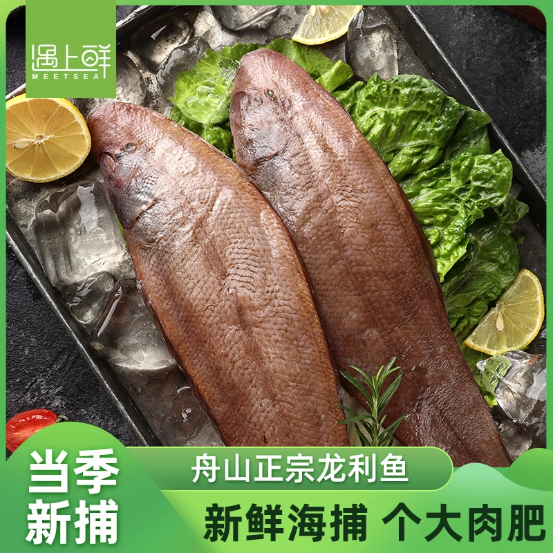 遇上鲜舟山野生三去肉鳎鱼 玉秃 踏板鱼 深海捕捞 鲜活速冻