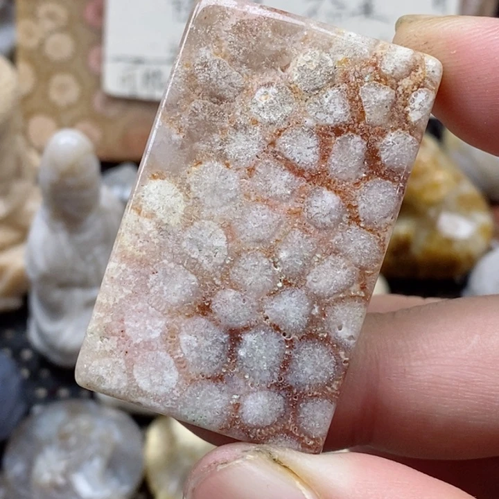 颈饰未镶嵌硅化珊瑚（珊瑚玉）有瑕