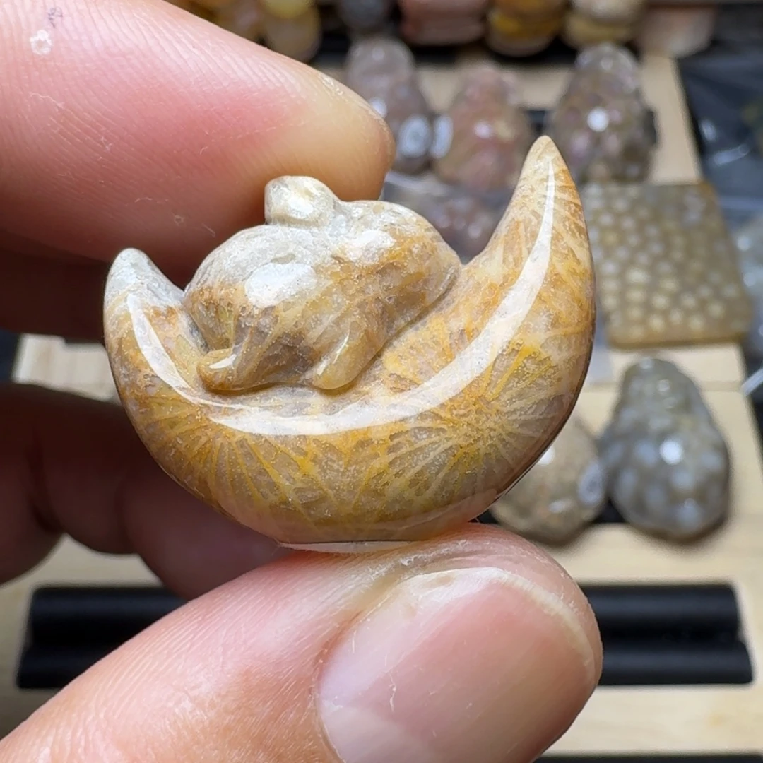 硅化珊瑚（珊瑚玉）未镶嵌纯天然色有机玉石保真色