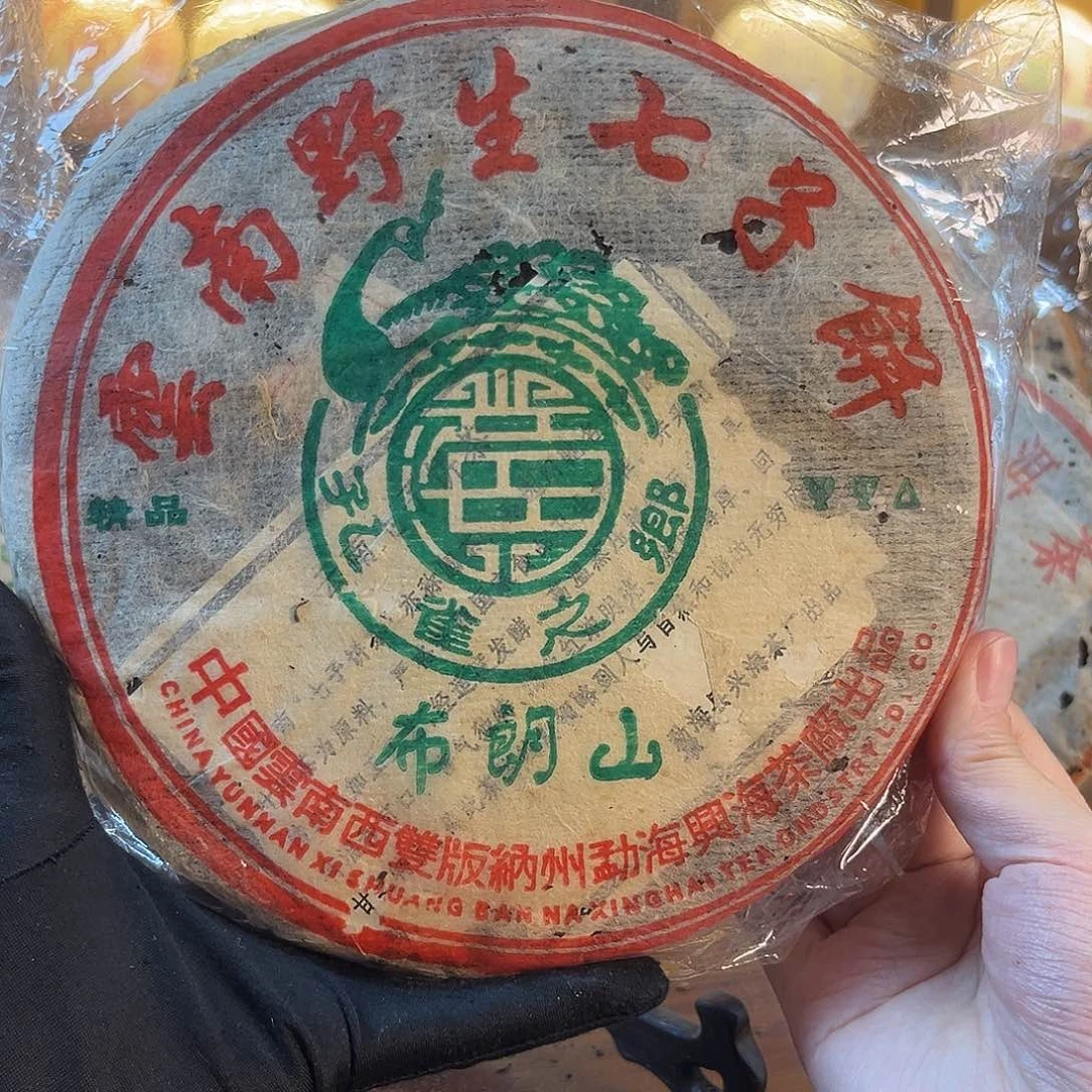 2005年兴海布朗山