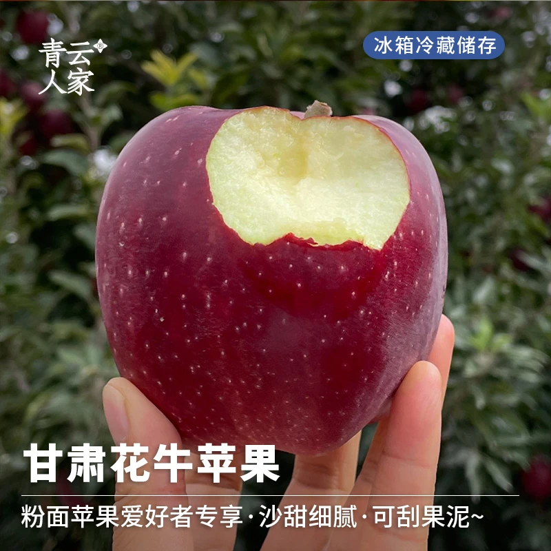 【青云人家】甘肃花牛苹果5斤/8斤 粉糯香甜新鲜水果苹果送礼整箱装
