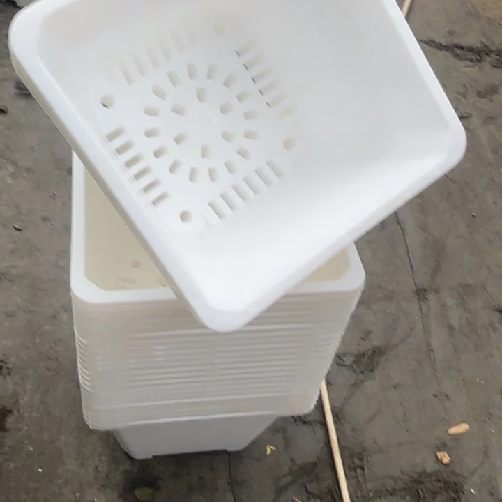 140白方盆13公分高10公分10个