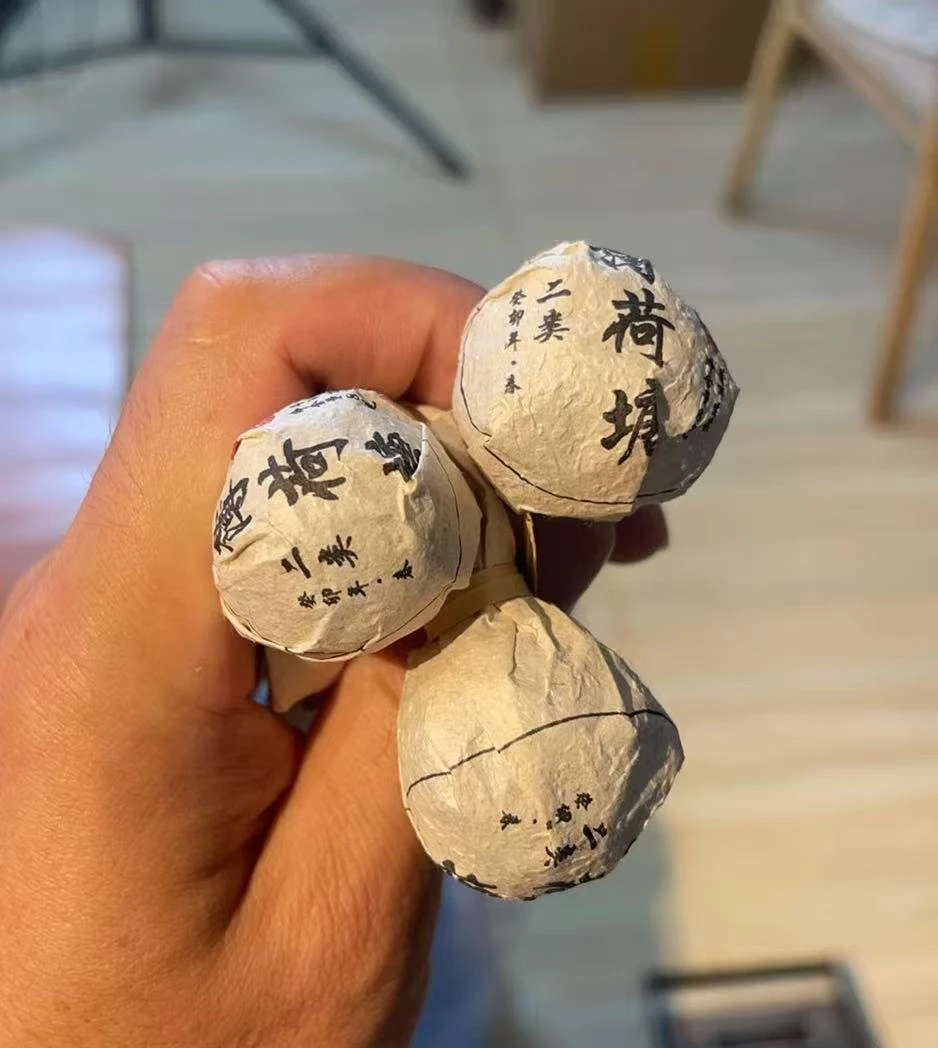 2023年薄荷塘二类龙珠/头春茶/普洱茶/8克10颗1罐生茶