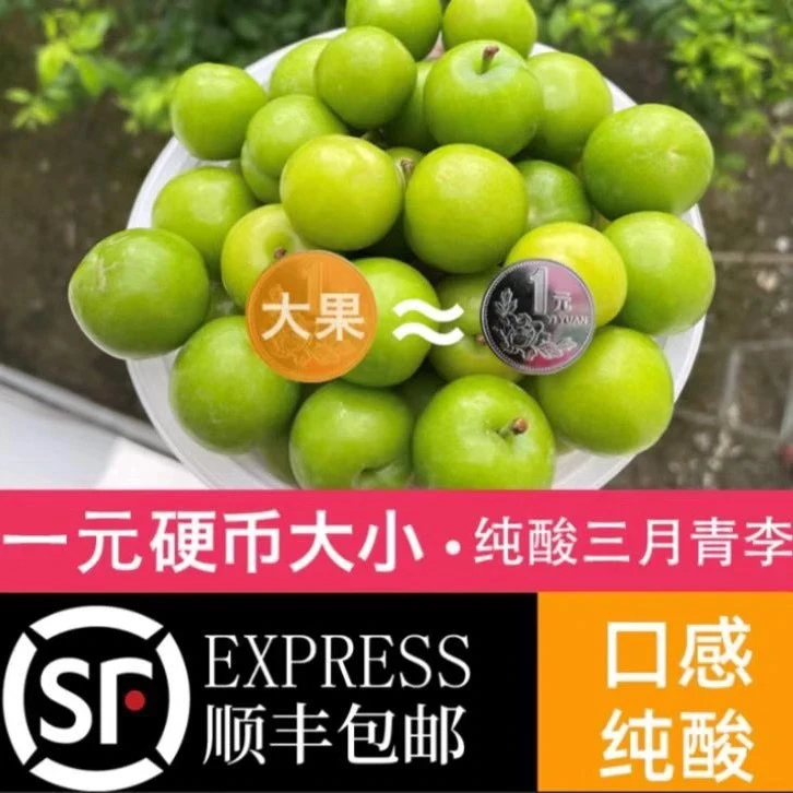 【现货口感不苦不涩】钱排三月李孕妇青李甘草水果三华李斤起包邮