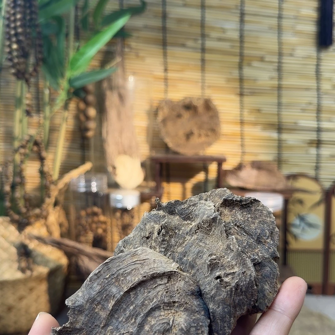 沉香沉香碎屑沉香老顶20g