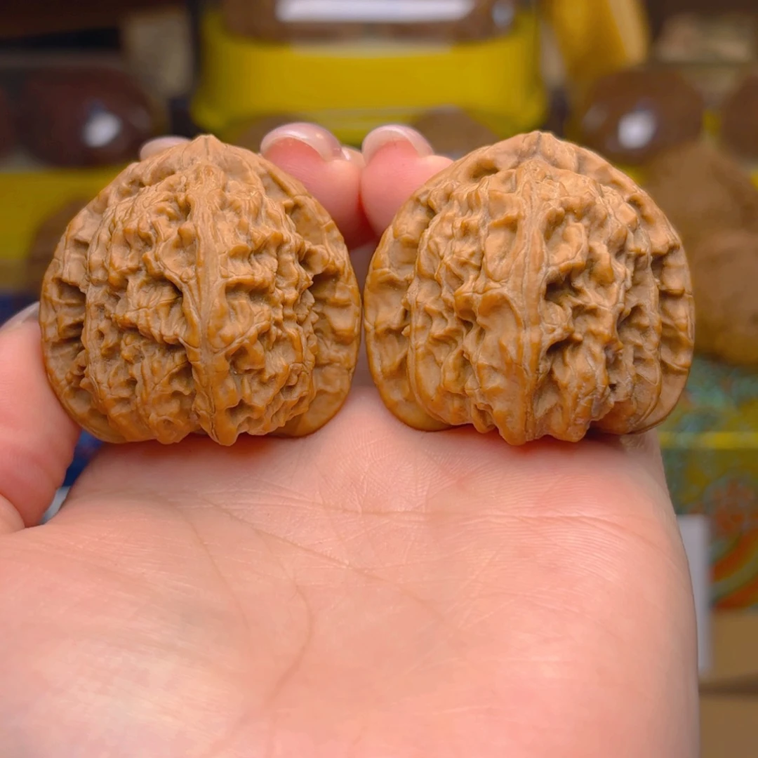 A***1白狮子头四十尺的