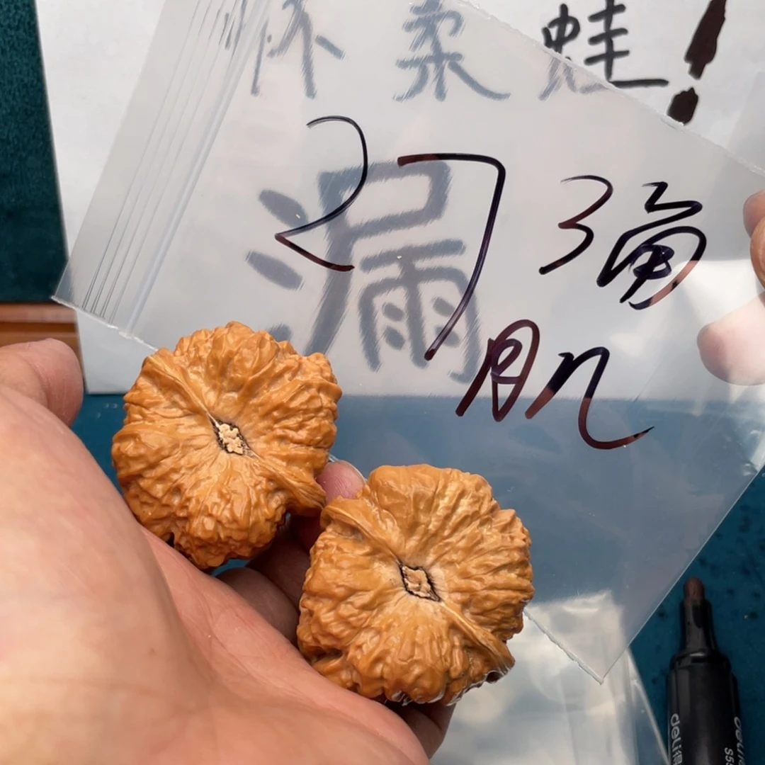 核桃手串/手链W3684864977497496