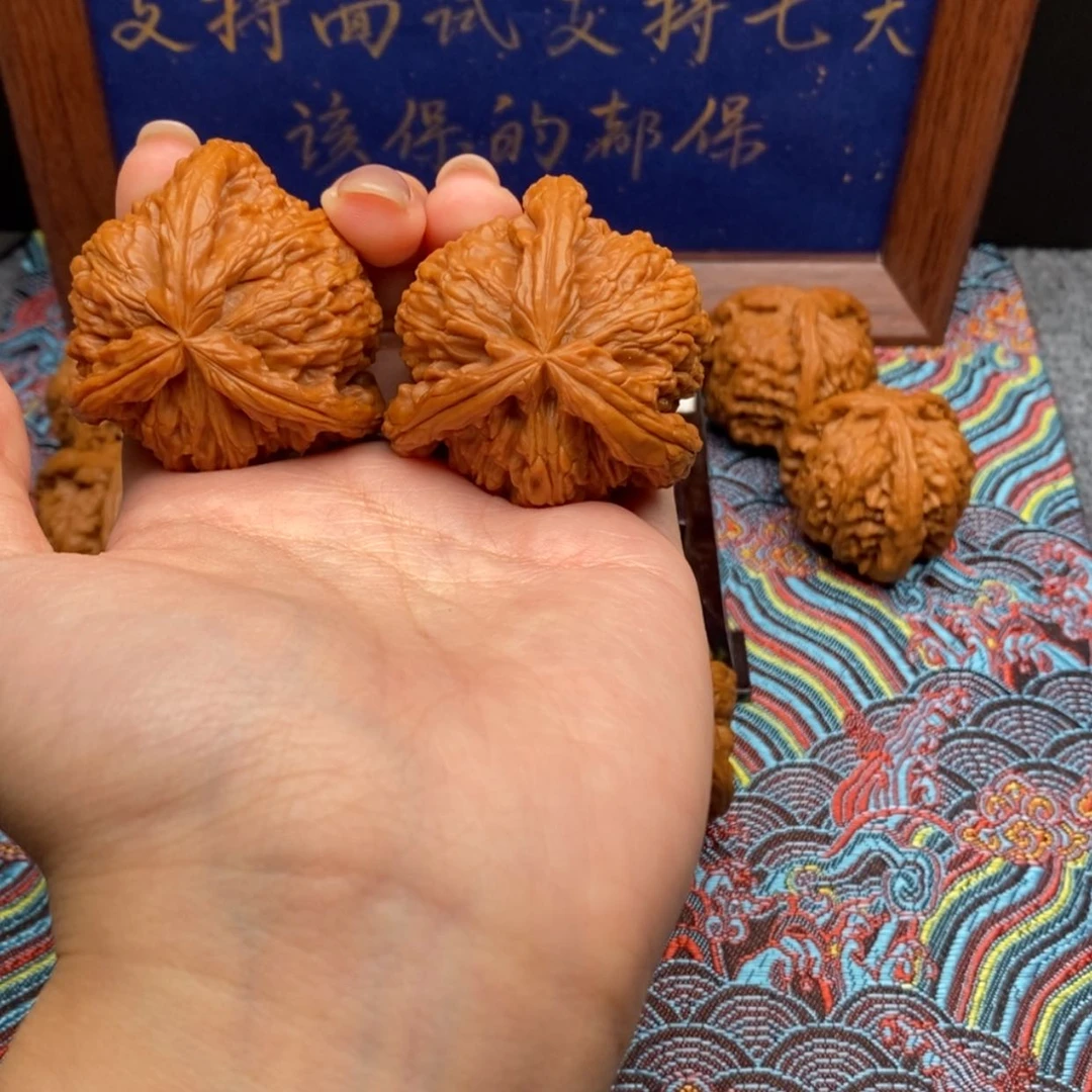 【闪购商品】魏***3白狮