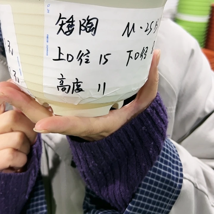正品矮陶口15高11白色无托10只