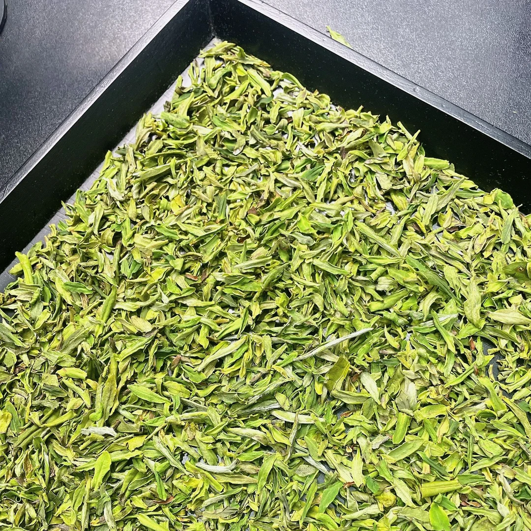 【白茶高碎】2025头春头采新茶白茶高碎产地安吉正味高兰香回甘鲜爽