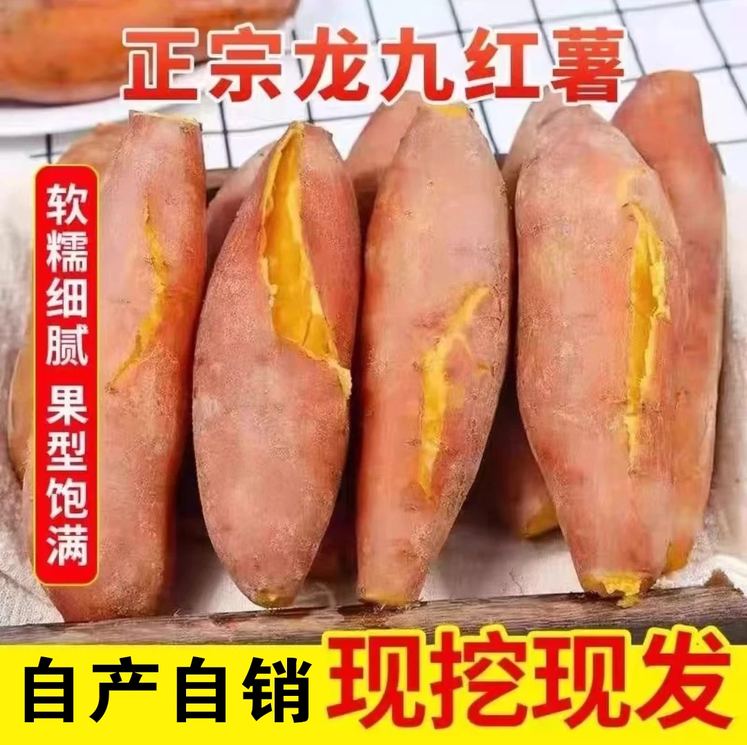[老品种黄心蜜薯]香甜不腻沙地蜜薯新鲜现挖农家自种龙九老味道