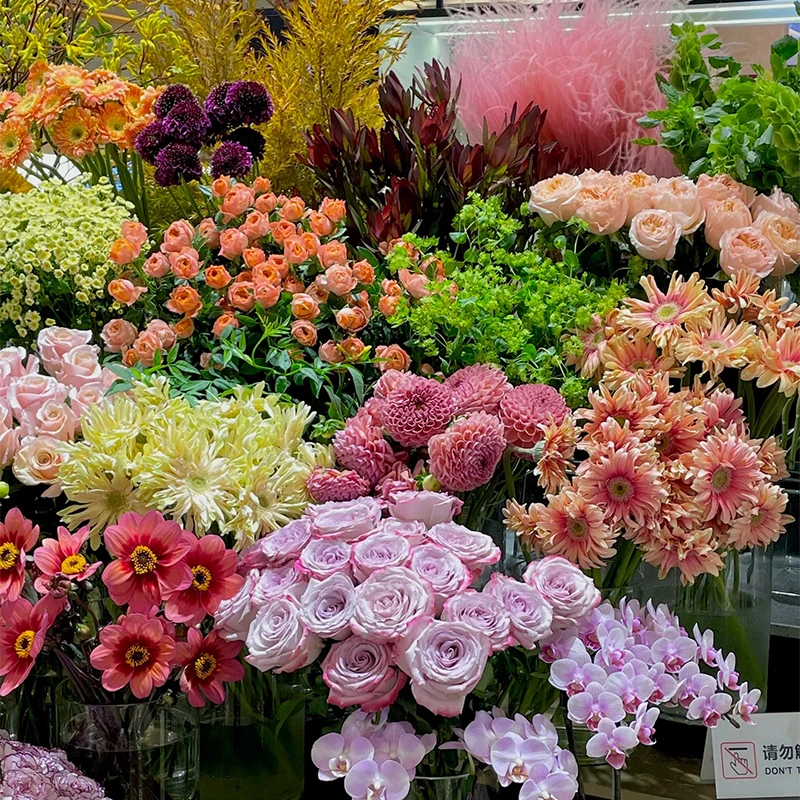 爱莎玫瑰+红玫瑰+粉玫瑰+多头玫瑰+洋桔梗+配草 云南基地直发鲜花