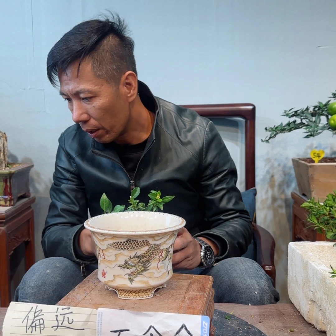 当前无花朵，栽培后可花朵超****埕