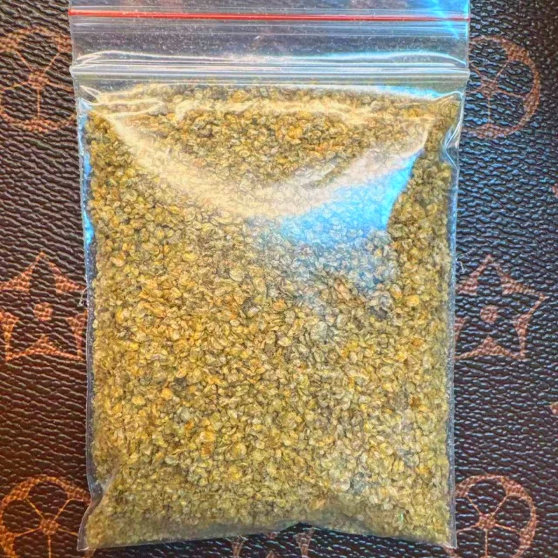 金娃娃河豚潜水艇专用饲料水蚤虫干