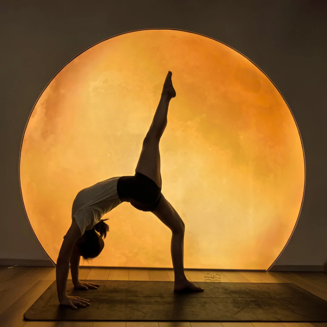 【三件专属链接】到手三件瑜伽服饰随机发