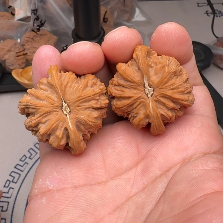 桃核把件山地白狮子39尺15