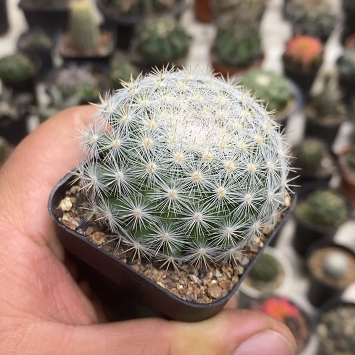 实生儒衣特价福利