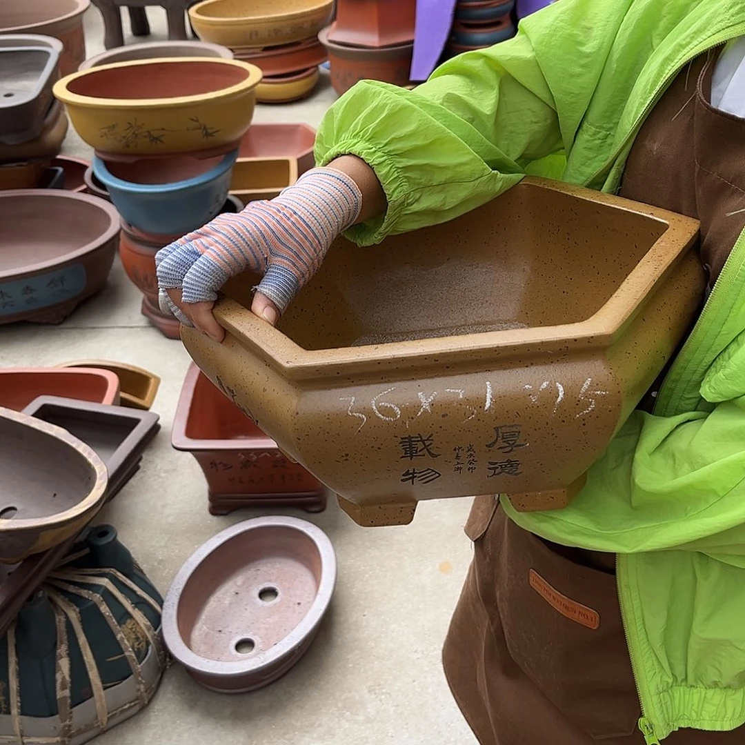 紫砂花盆盆景艺术