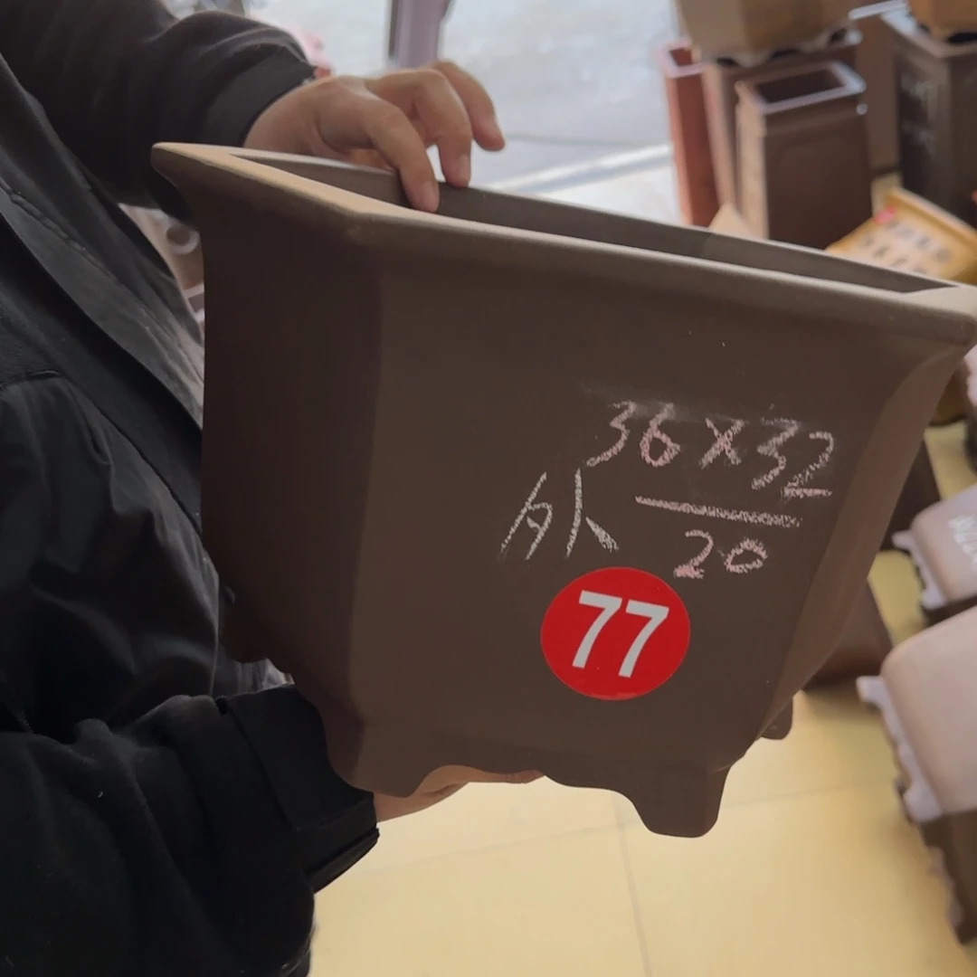 紫砂花盆我呜呜呜呜呜我