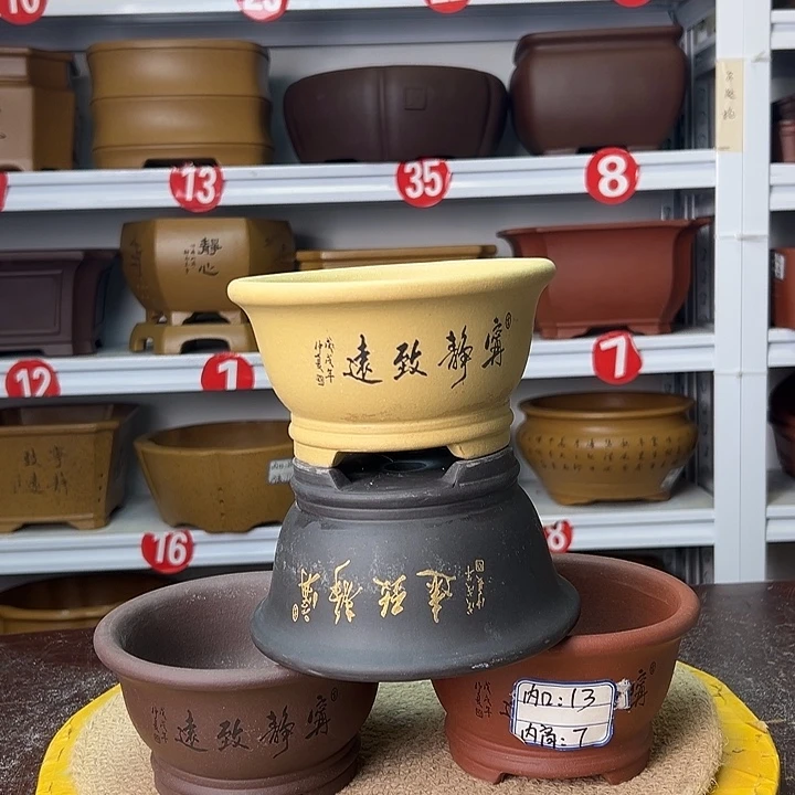 紫砂花盆你在一起