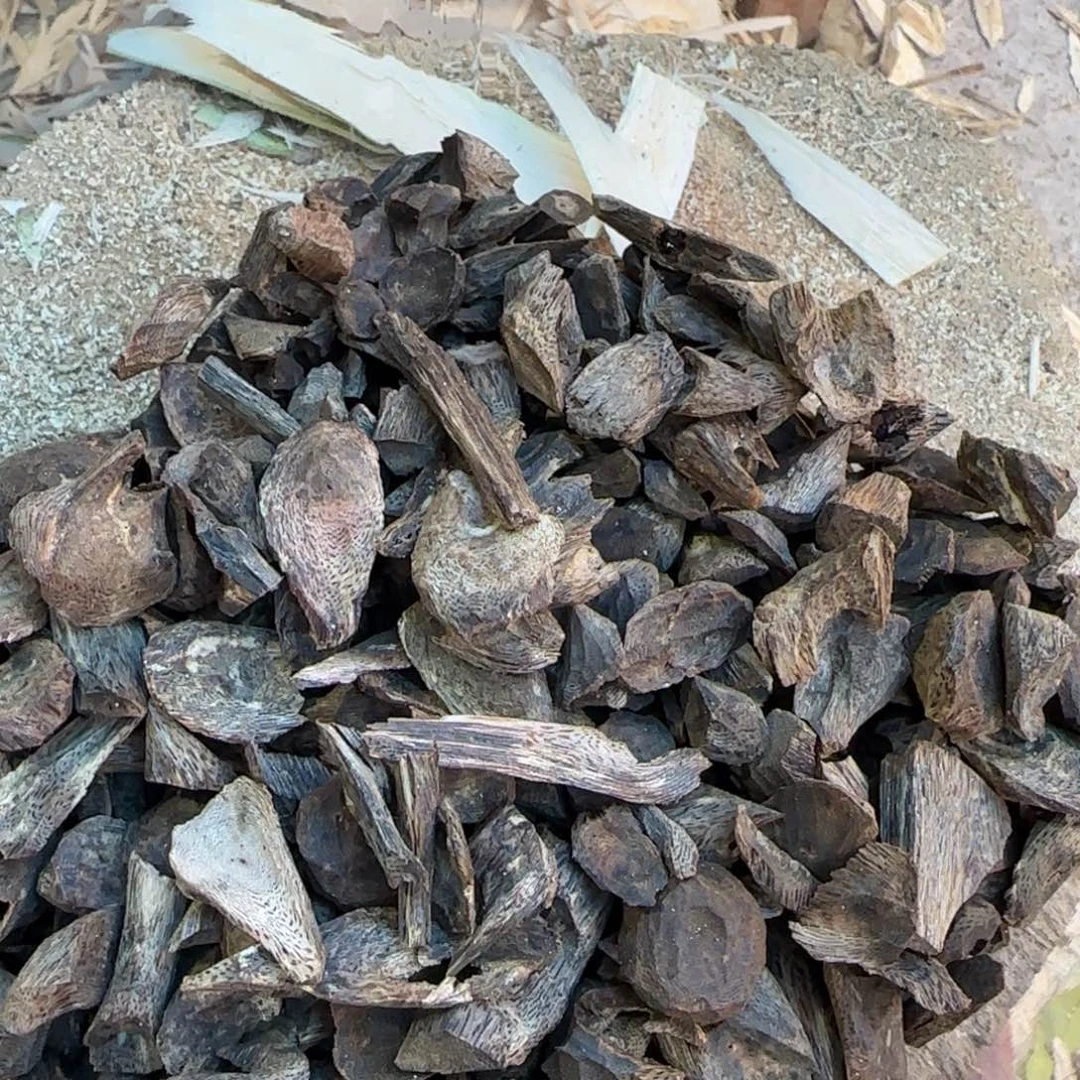 树脂制品留疤精品20克一份多样性发一份