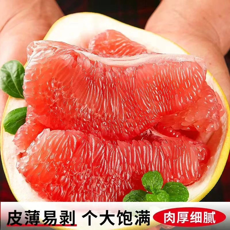 农家种植马家柚现摘鲜嫩多汁肉厚产地直发