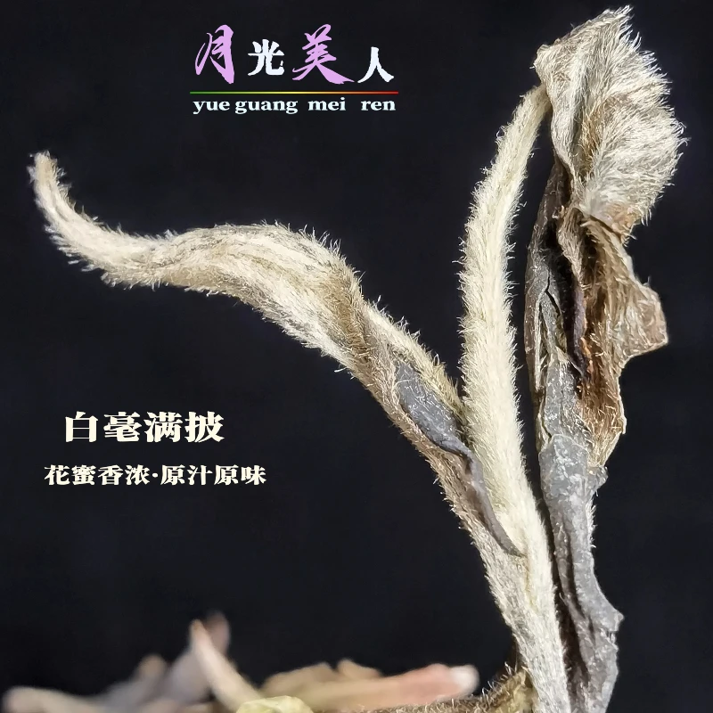 云南古树白茶【月光美人】花蜜香浓 2023年头春古树白茶100克