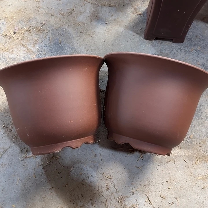 20×15两元福利价8888