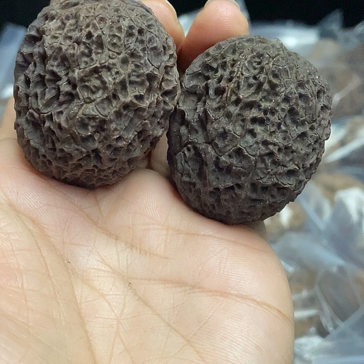 木质类云南铁核桃+51