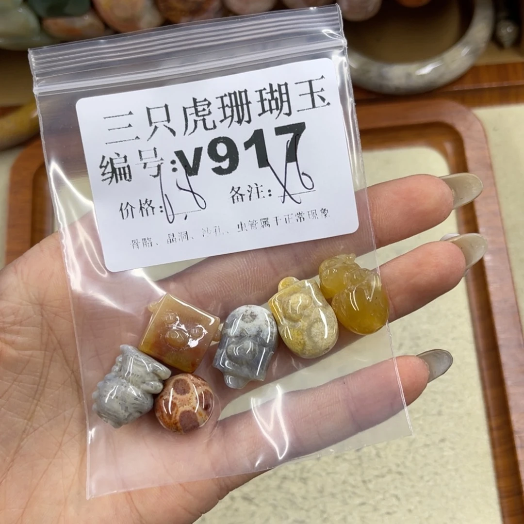 花***哩硅化珊瑚（珊瑚玉）未镶嵌h