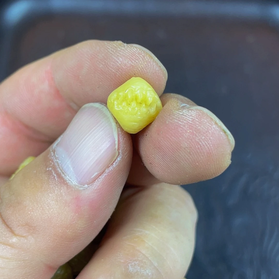 驼骨手串/手链编号96