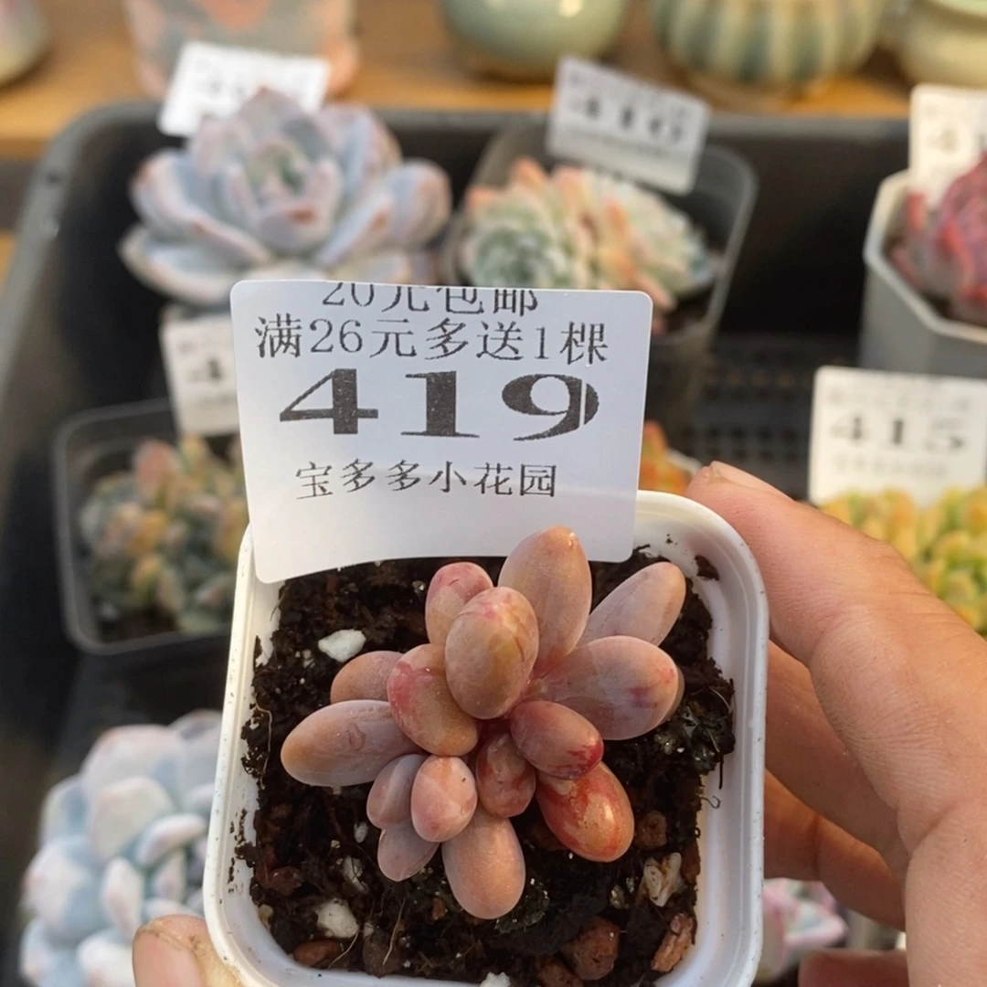 糖果手指一物一拍满20元包邮满26送一颗