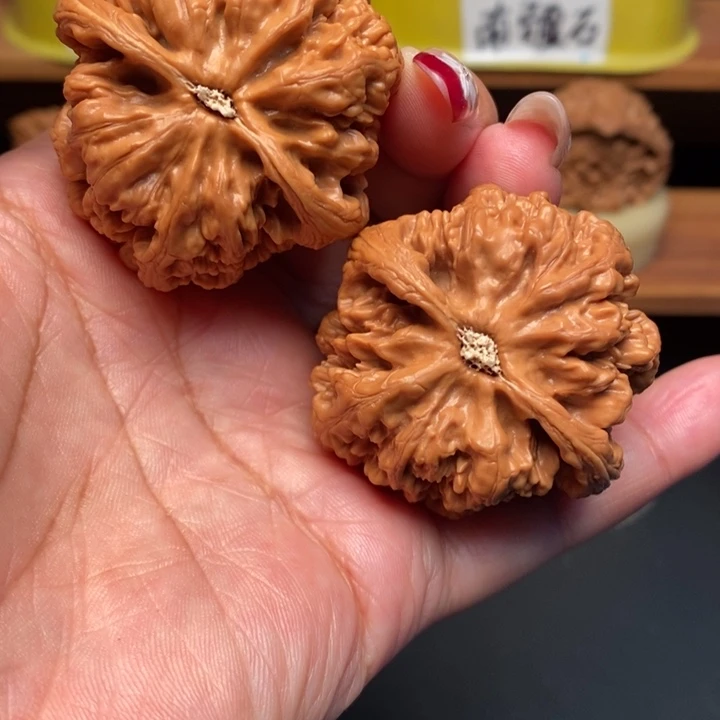文玩核桃吊坠44全品粗筋