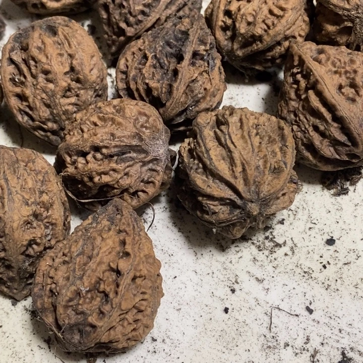 天***曌桃核吊坠娜姐真的309