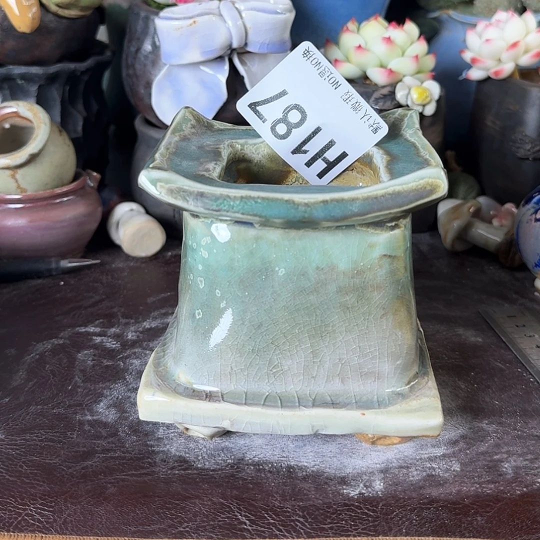 重庆小燕子欢迎大家187