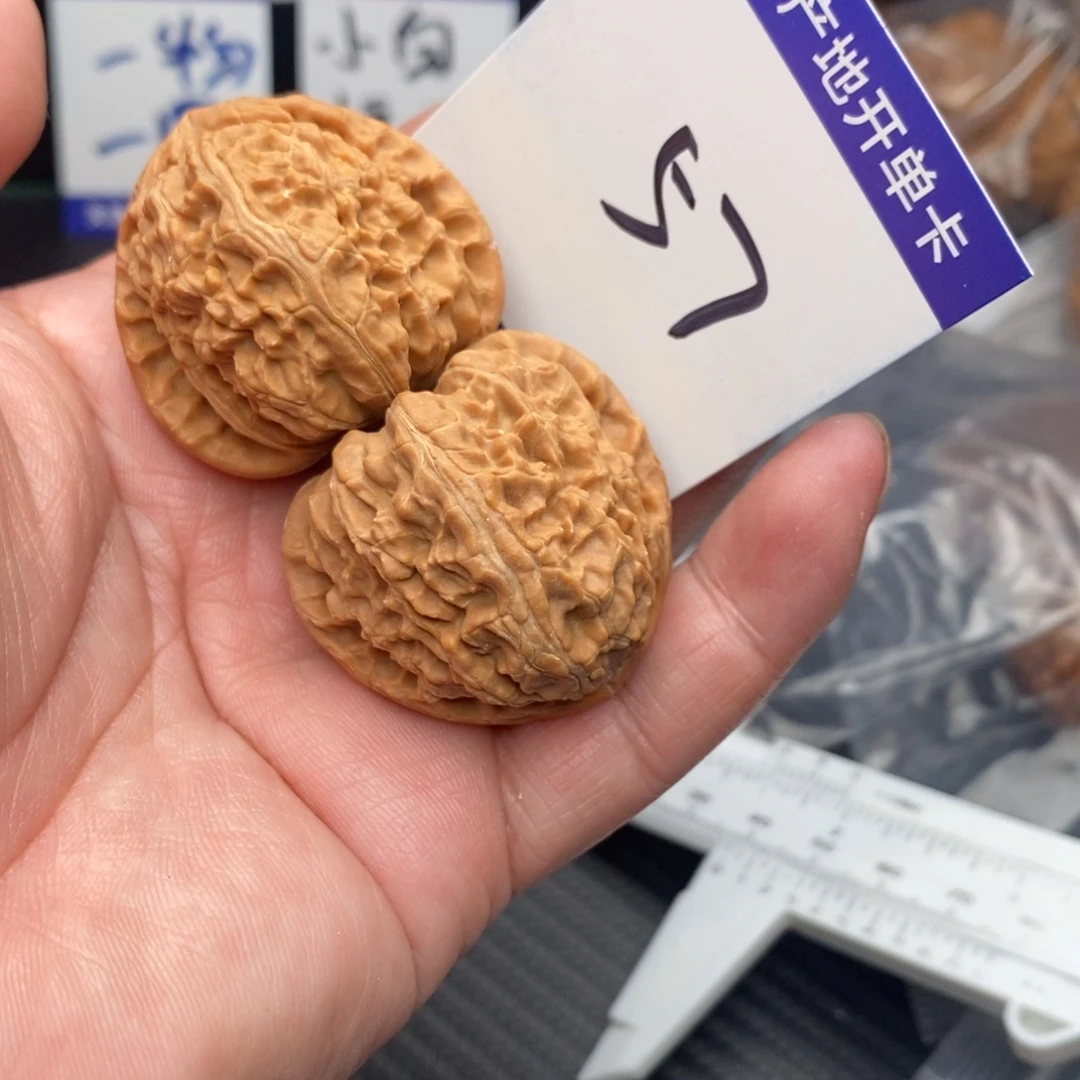 桃核把件白狮子36monom