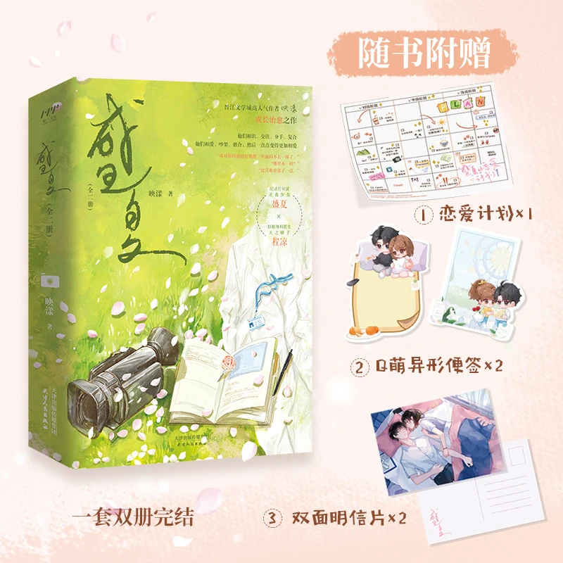 盛夏（全二册）晋江金榜作品 人气作者映漾成长治愈之作 青春小说