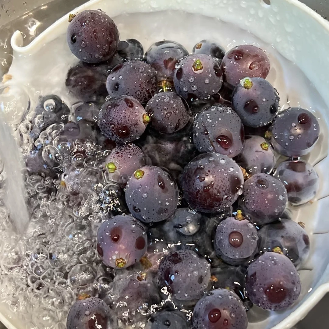 辽峰葡萄粒儿5盒装