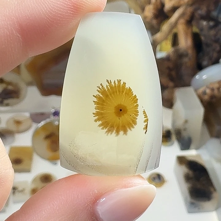 玛瑙/玉髓未镶嵌珠宝奇石