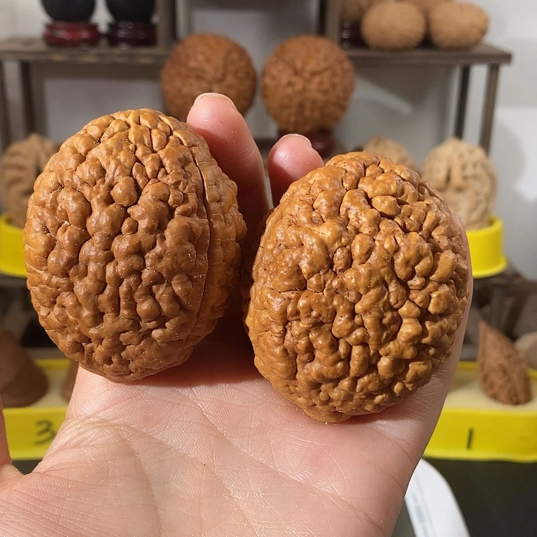 吊坠文玩核桃三瓣脑纹金刚5064