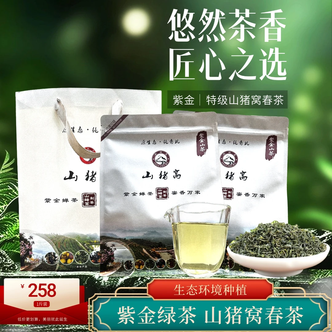 山猪窝头春茶｜紫金绿茶｜香气高扬鲜爽回甘2025高山云雾茶叶250g*2