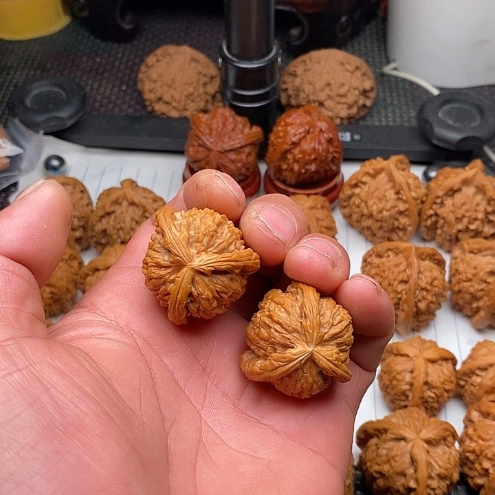 菱***紫核桃手串/手链拼接白狮子6